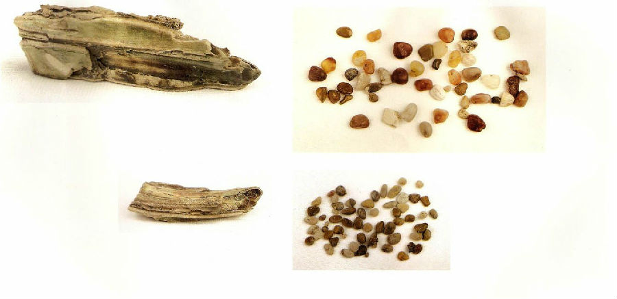 涟水能仁寺里有什么奇事,涟水能仁寺有什么好玩的