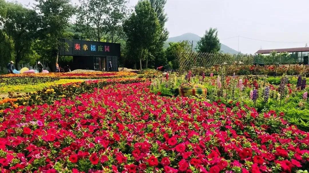 青岛文艺复古小众的地方,浪漫又文艺