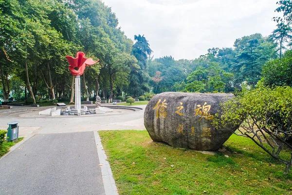 曾作为禁地，与外界隔绝二百六十多年的“玄武湖”，今日锣鼓喧天