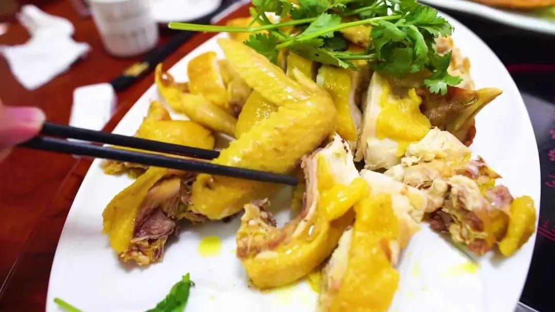 昌江原生态热带雨林森林秘境,海南万宁一个被大自然宠爱的地方