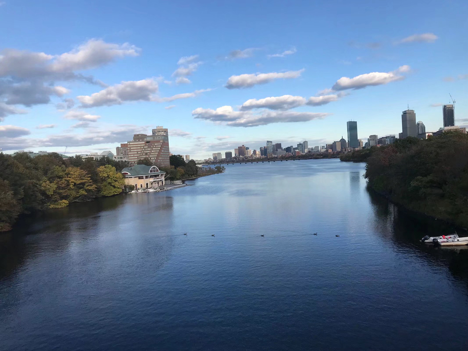 美国签证最新政策公告,最新的美国签证政策