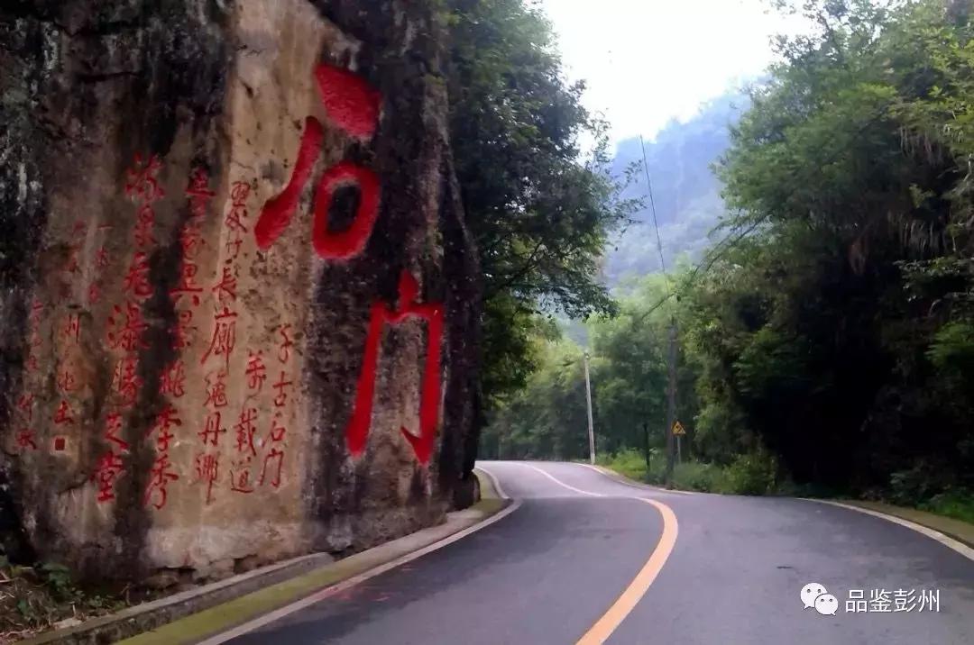 五朵金花组团出战,五朵金花齐聚的时候