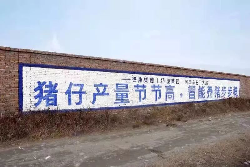 京东网易阿里巴巴养猪,阿里网易养猪业