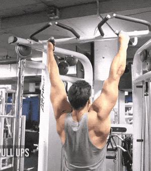 练背怎么练才能增加背部肌肉,初学者让背部肌肉更宽的训练技巧