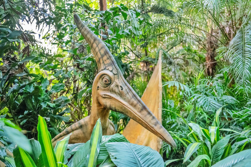 广州长隆野生动物世界旅游攻略,长隆野生动物世界攻略2-3天广州游