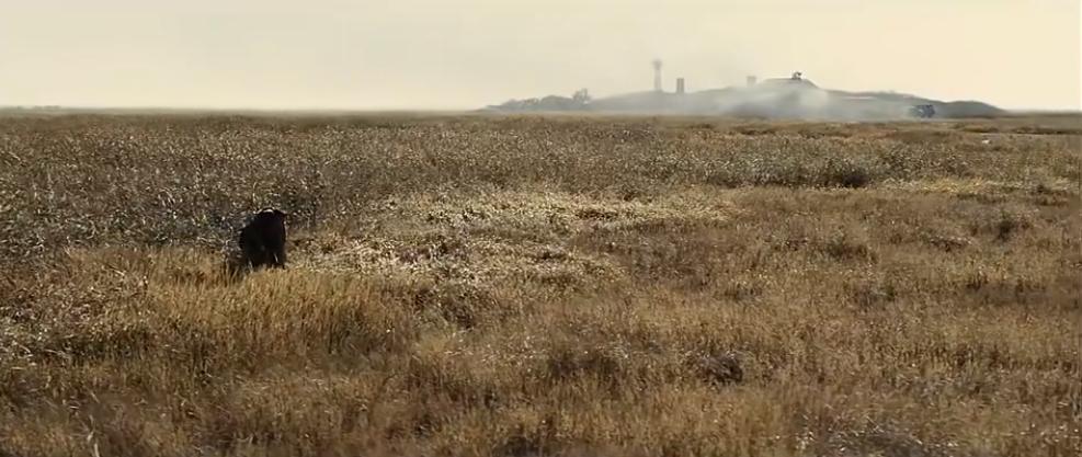 有生之年一定去一次柏林,这辈子一定要去一次欧洲