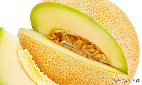 哈密瓜果脯蜜饯制作方法,不甜的哈密瓜怎么处理