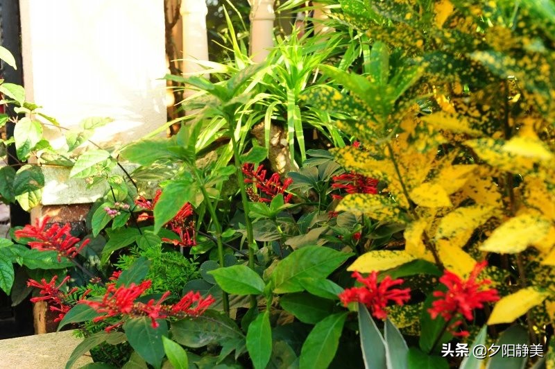 我的海南之旅全集,海南天赐上湾怎么样