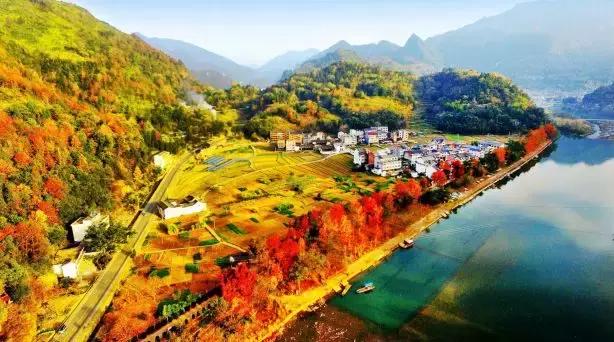 选美啦！这19条乡村振兴示范带亮规划比颜值看看它们怎样扮靓温州