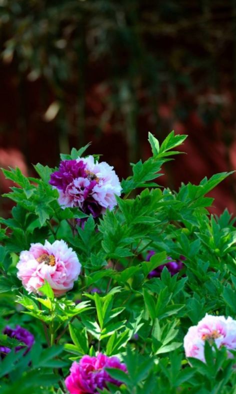 有关谷雨的诗词名句,谷雨诗词汇总