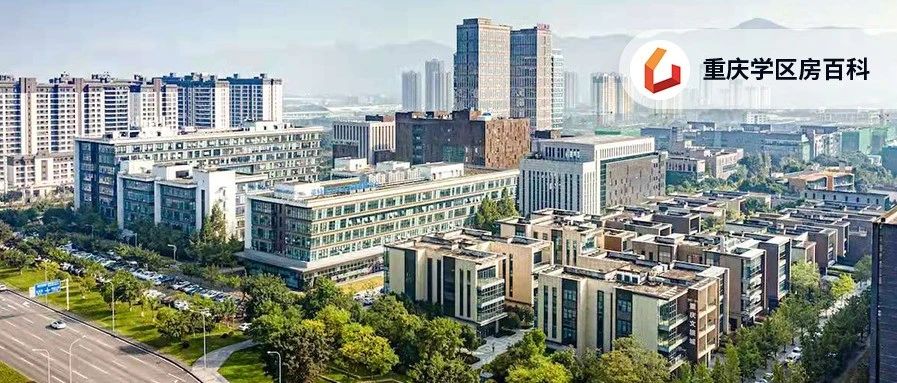 关于高新区大学城，这篇文章一定要看