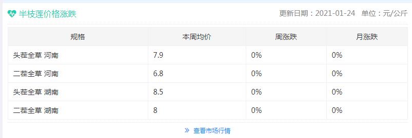 半枝莲1000克多少钱,半枝莲一亩产多少斤