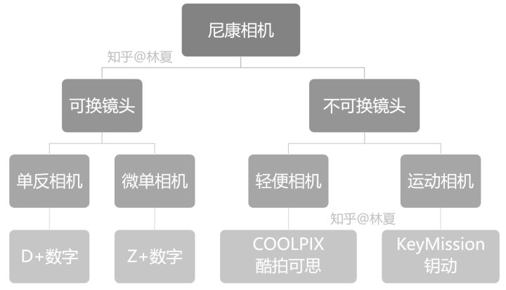 尼康最好的相机是什么型号,从型号了解一台相机尼康