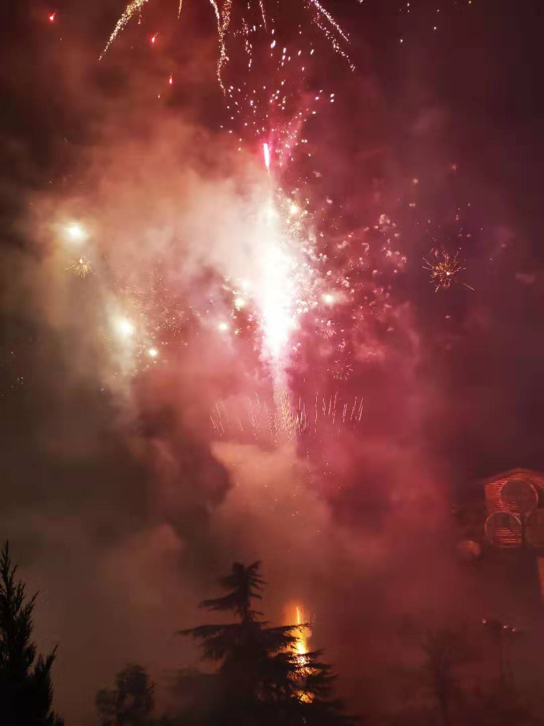 为什么那么多人抢到春节回家的票 (大家都抢到票回家过年了吗)