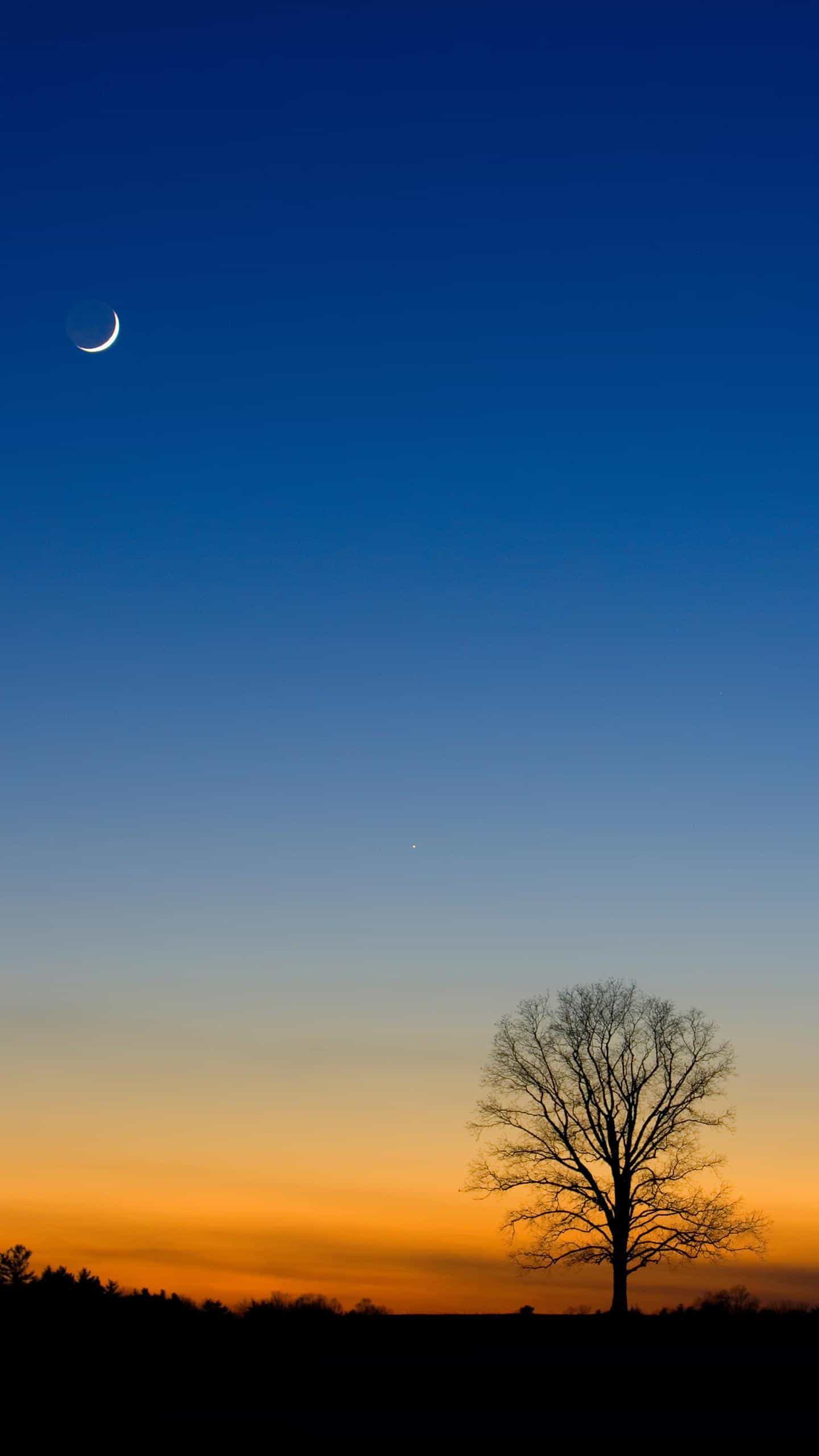 广州浪奇存货失踪案给供应链运营企业的风险警示