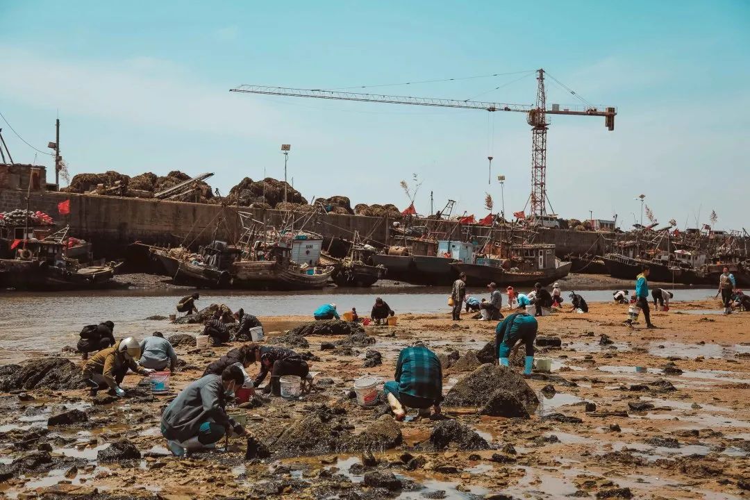 生活在海边的人皮肤特点,日照海边的魅力