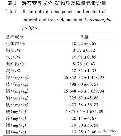 浒苔营养成分分析与投喂刺参试验