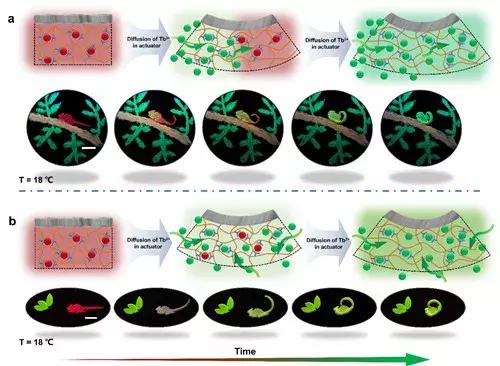 宁波材料所纳米机器人,宁波材料技术与工程研究所新闻