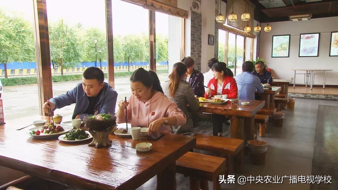 田间示范秀养鸡视频,田间示范秀节目