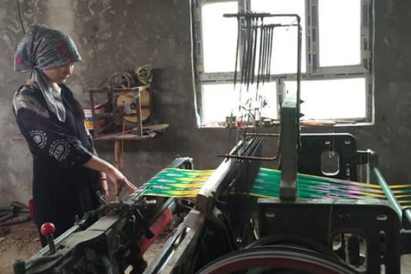 农民在家怎样才能致富，这些门道或许可以帮到你