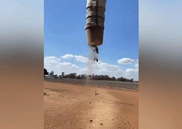 澳大利亚鼠灾到底有多可怕,澳洲鼠灾最新状况