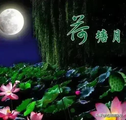 七绝夏日风光,七绝湖上白鹭翩翩飞