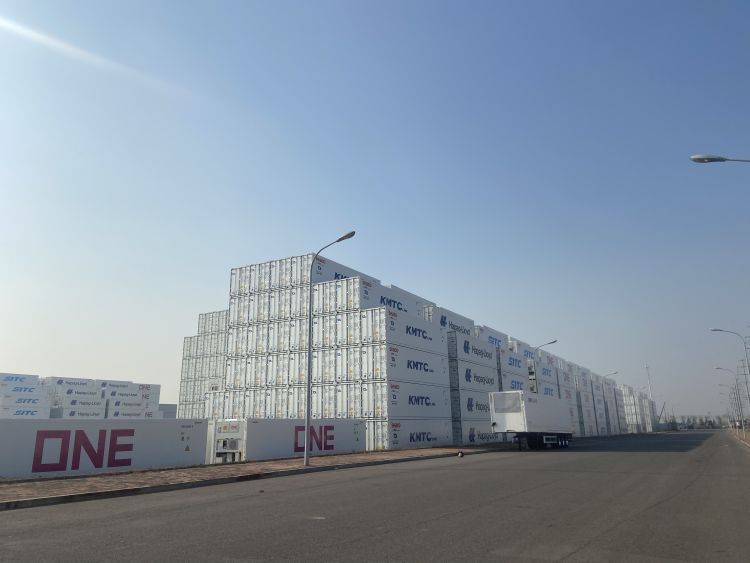 全球冷藏集装箱规模,集装箱大量出货