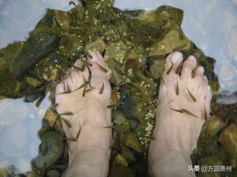 贵州清凉一日游,贵州黔南春季旅游攻略