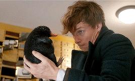 还没看《神奇动物在哪里》？没关系，你错过的神奇动物都在这里