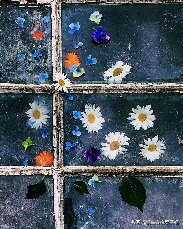 情感咨询|栗子姐每日情感问答(0919)