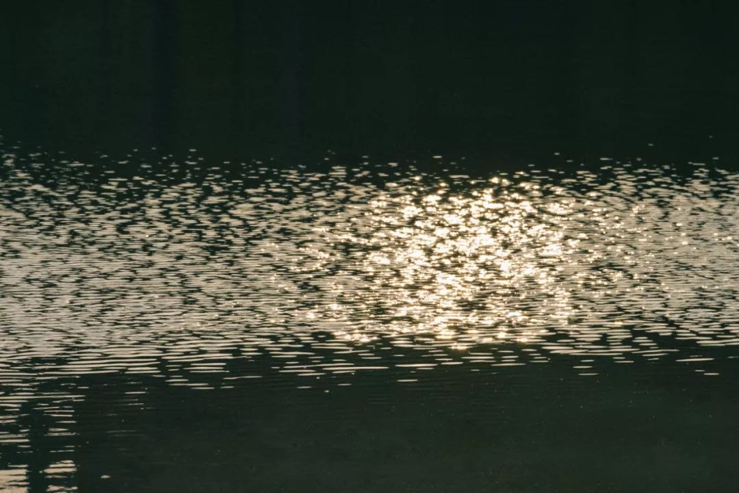 深圳宝安喝茶的世外桃源,宝安西乡世外桃源