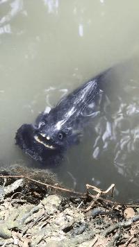 可爱搞笑图片可直接保存,搞笑图片现在的年轻妹纸真会玩啊