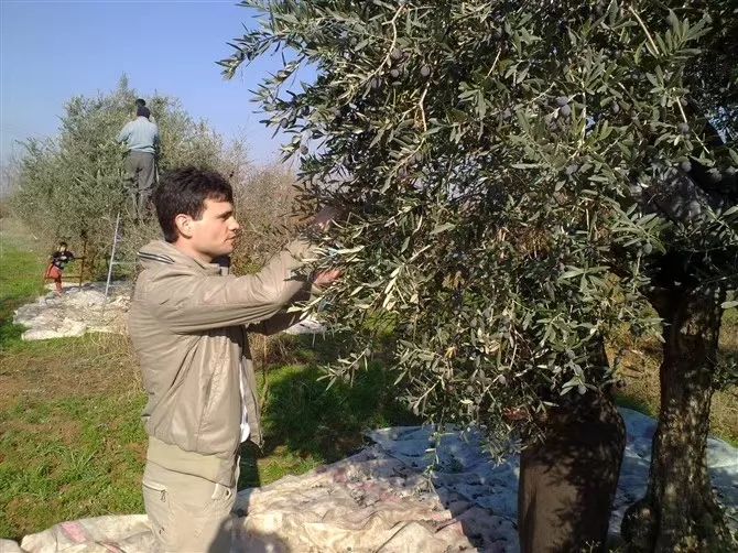 靠一块香皂养活厂里20多人，叙利亚商人逃离战火扎根上海