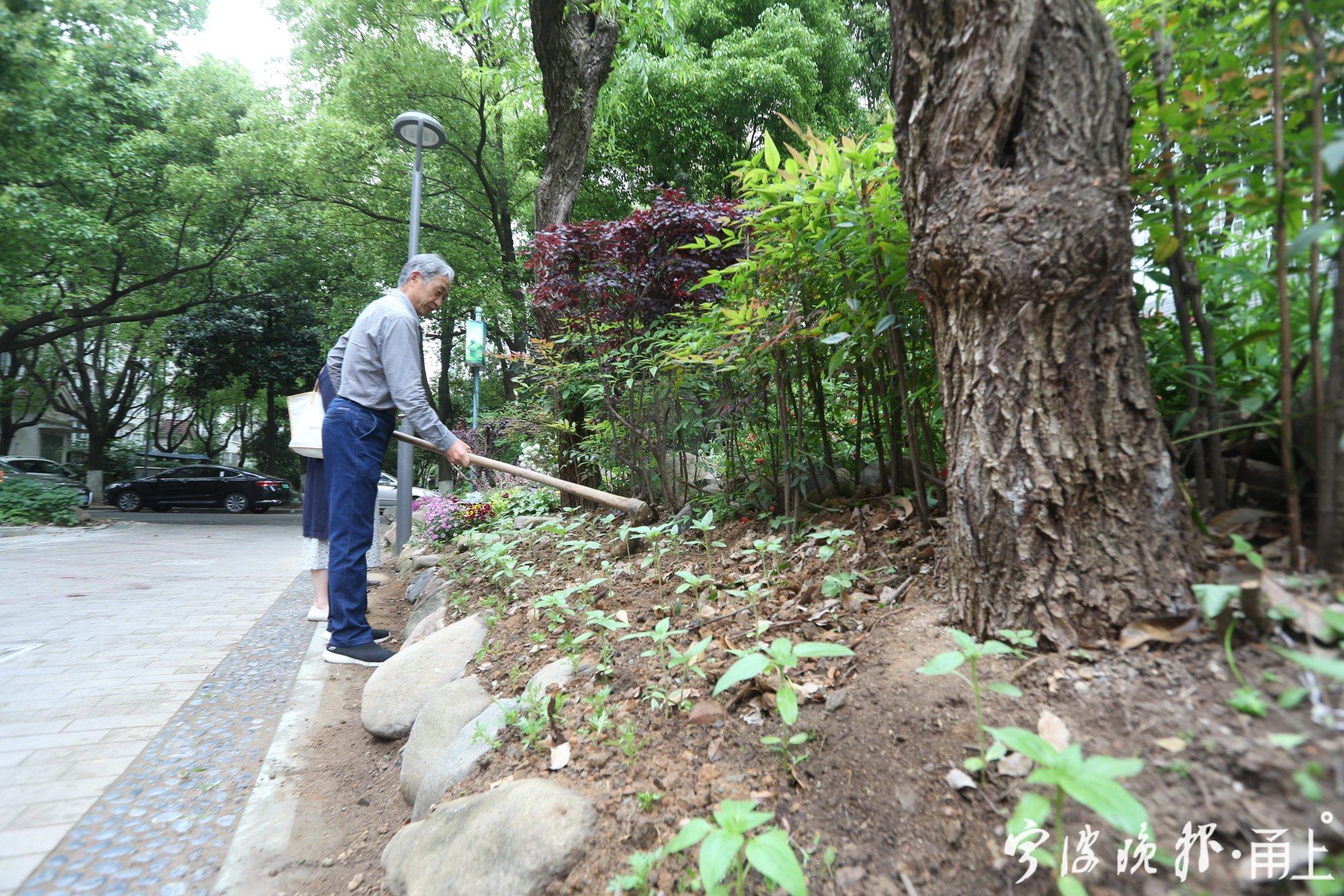 开门见山水的院子,邻里花园宁波