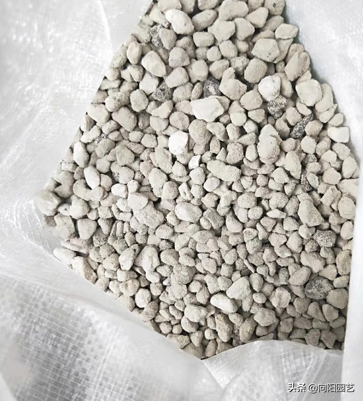 火山浮石日本,日本火山浮石