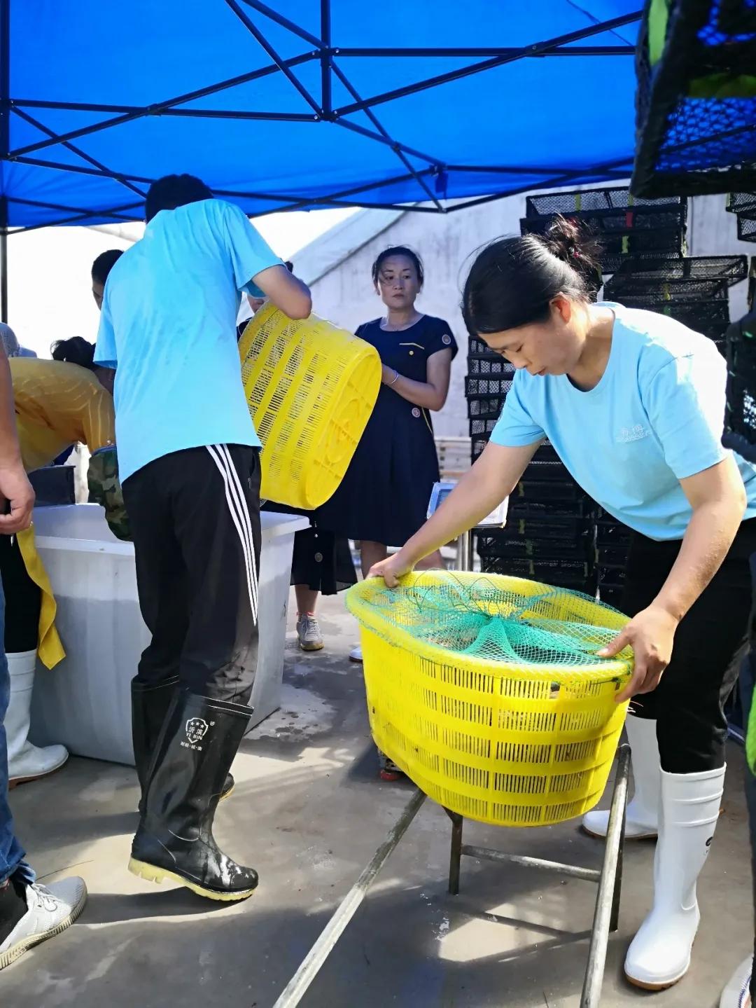 热食柠香南美鲜虾低脂意面,南美鲜虾沙拉优惠团购