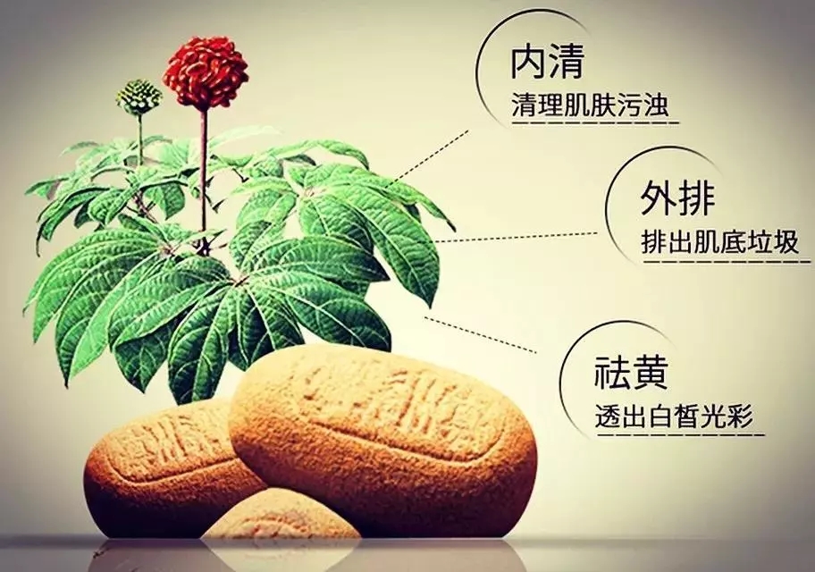 王艳宋丹丹黄晓明古装电视剧,王艳杨紫张铁林