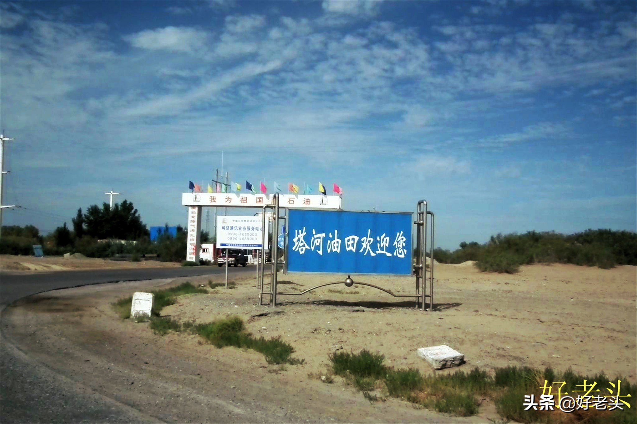 库尔勒轮台胡杨林风景区,胡杨林景区轮台