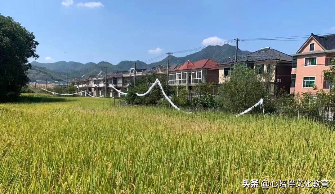 盛玉峰|家乡的那些古道—从谢圣岭说起