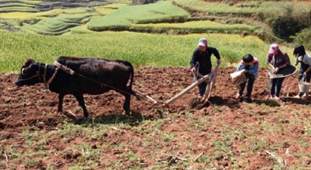杨源水:我的三大娘