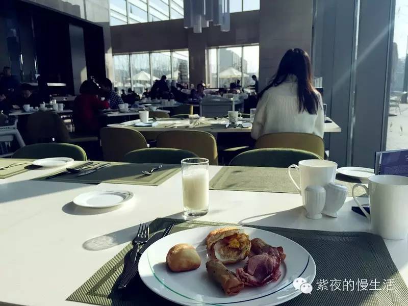 苏州带宠物去的古镇,苏州小众宠物乐园推荐