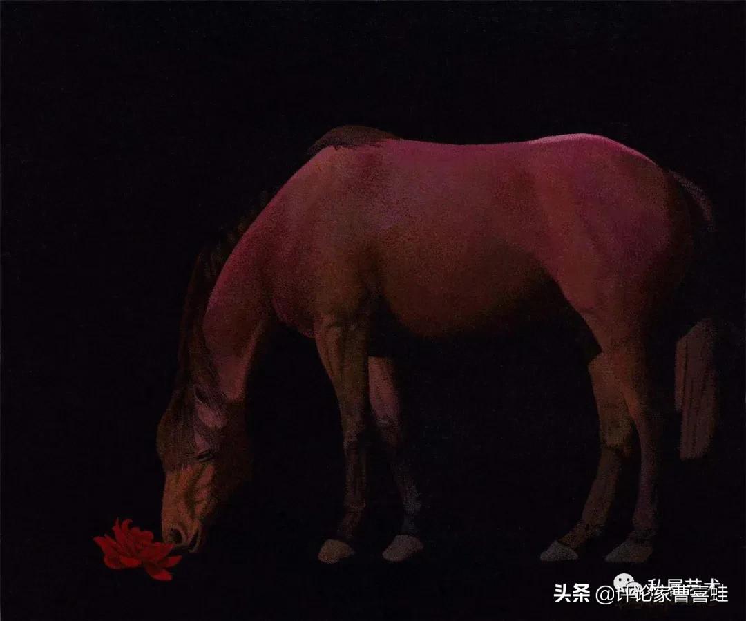 曹喜蛙,曹喜蛙简介