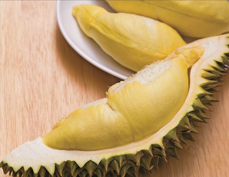 一棵树一年结400多颗榴莲,榴莲一股酒味还有点苦