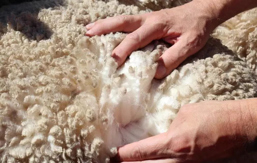 羊毛做的鞋子，还是光脚穿的好