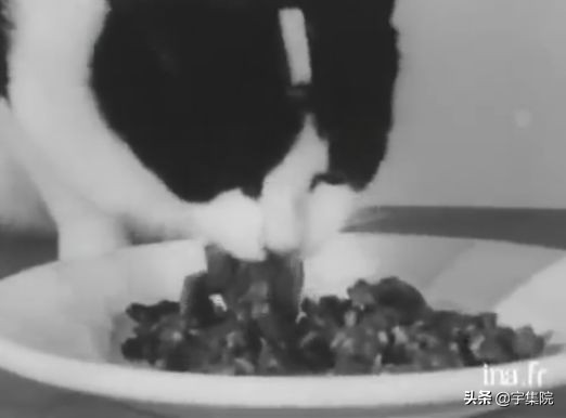 猫也曾上过太空?全世界仅有一只,还是黑猫警长同款