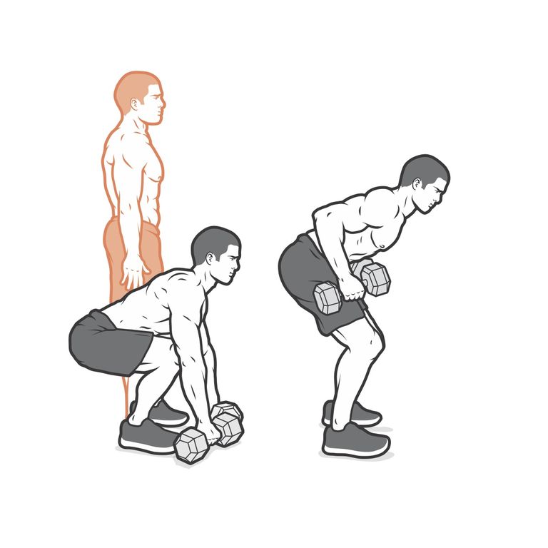 推荐你从几个基础的哑铃训练开始,一个星期的哑铃训练