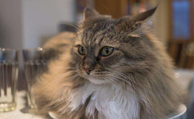 口红一哥李佳琦的经济效益,口红一哥李佳琦卖口红视频