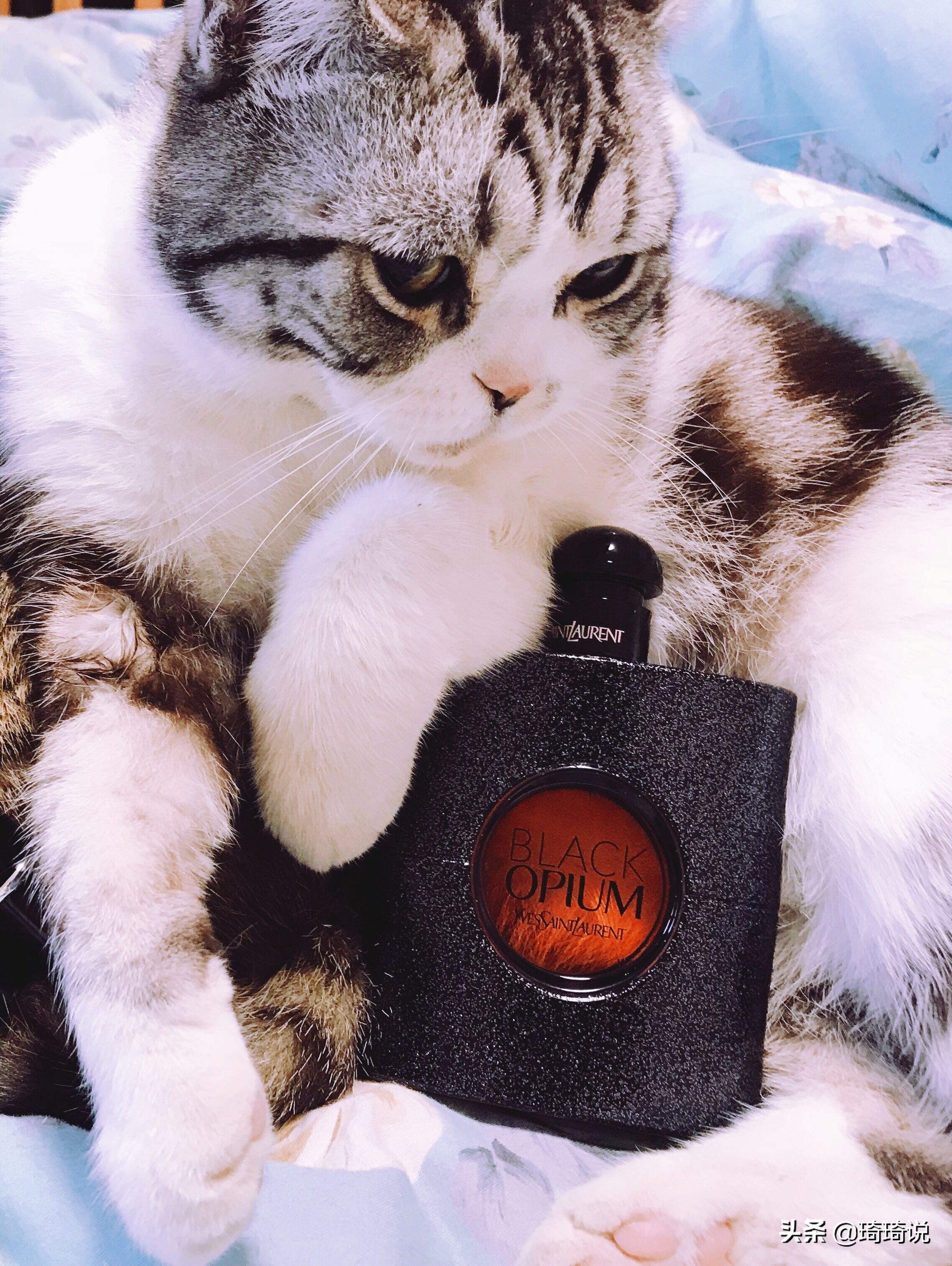 最有女人味的一款香水是什么,精致好看香水有哪些牌子