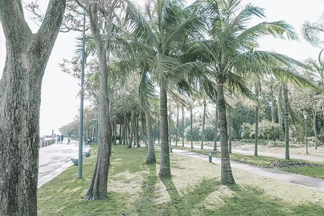 深圳游玩路线攻略必去的地方推荐,深圳4天自驾游攻略最新路线