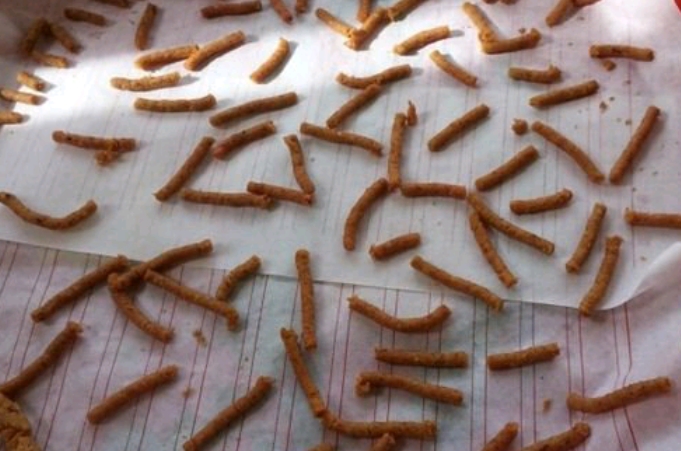 饵料用不完,就别再扔了,这才是最佳的处理方式,十之八九你不知